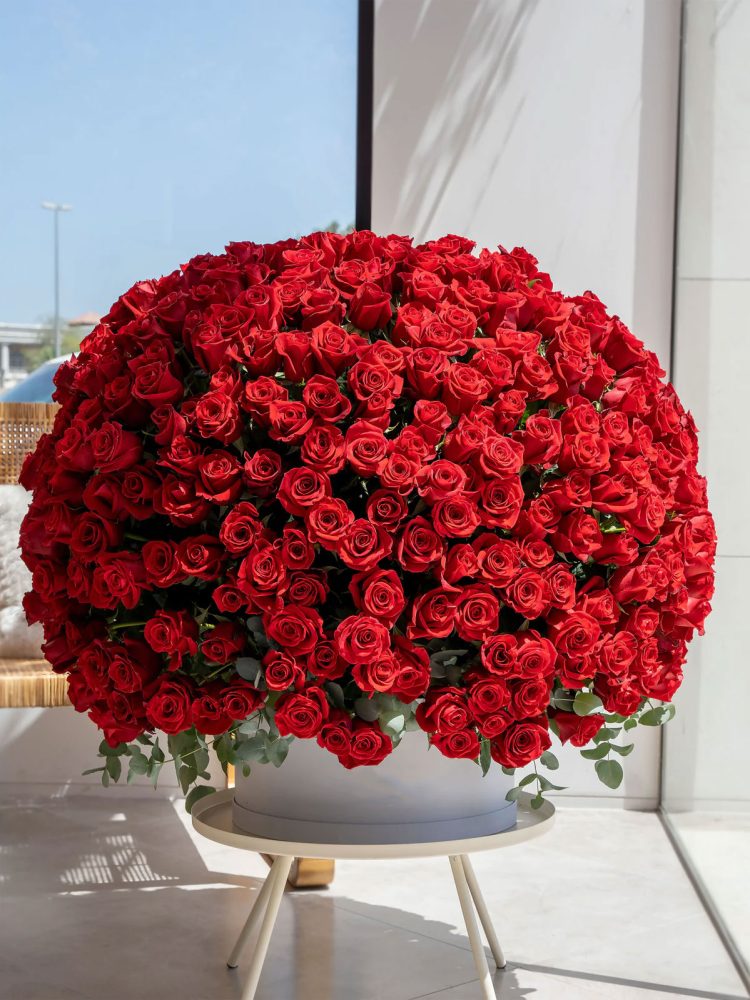 501 Red Roses Boxes Arrangement